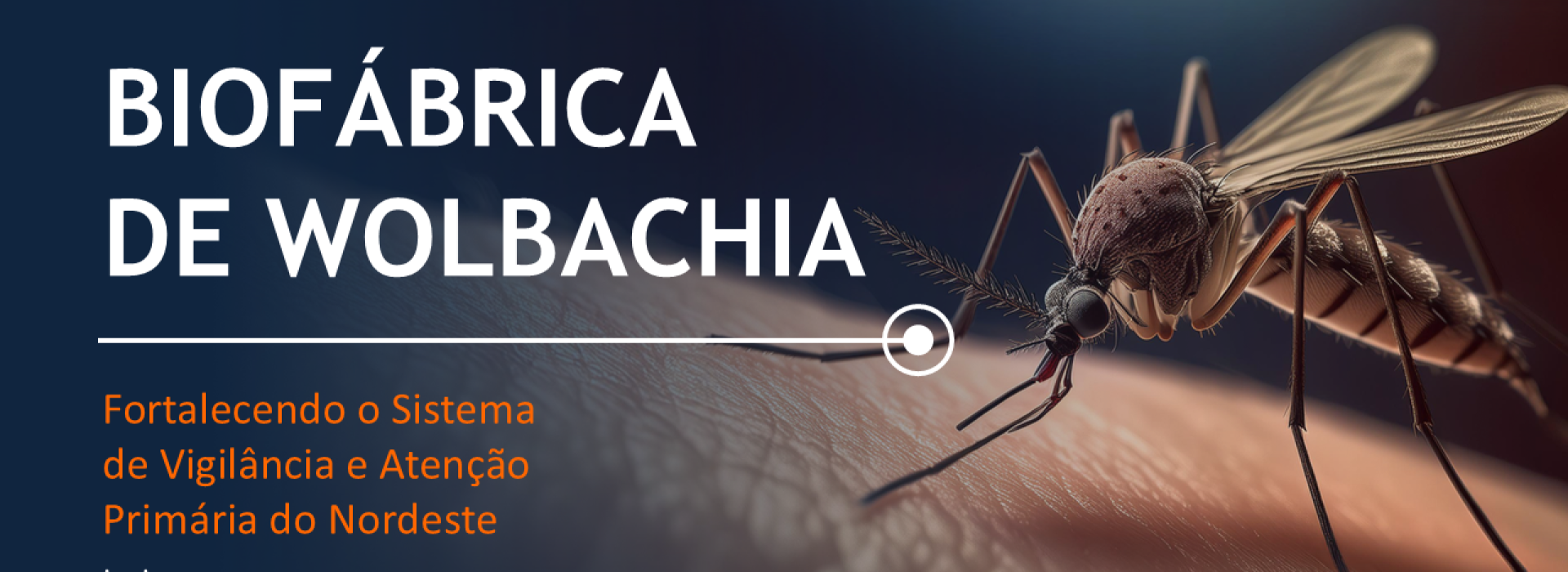 Biofabrica Wolbachia