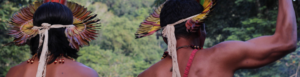 Territórios Vivos