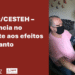EC/Fiocruz disponibiliza relatório do projeto CESTEH